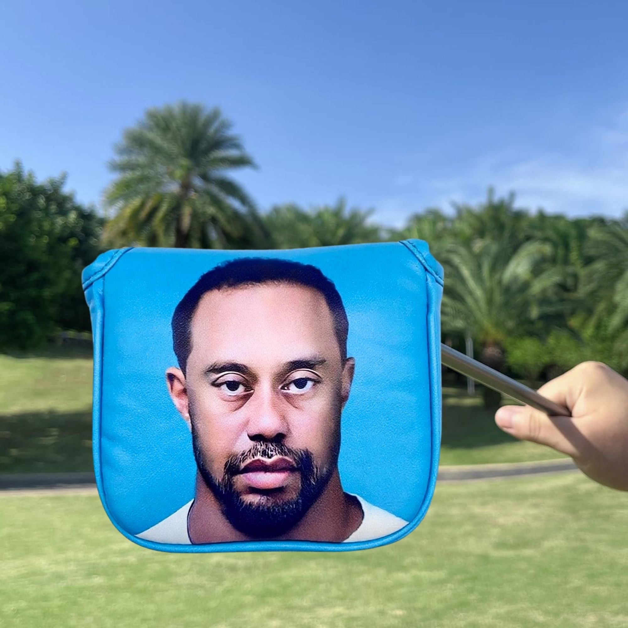 Funny Golf Mallet Putter Head  - Women Accessories For Gift recension och pris